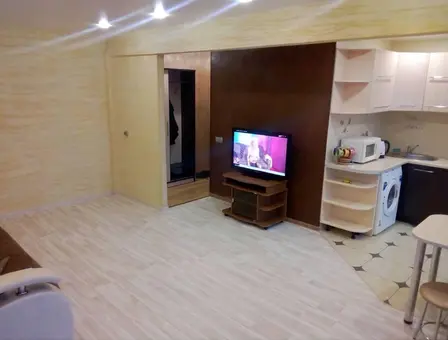 Interior of apartment for daily rent, Borisov, Chapaeva str. 21