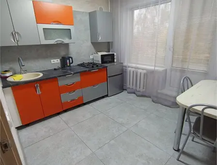 Studio apartment for daily rent in Borisov, Chalovskaya St. 17
