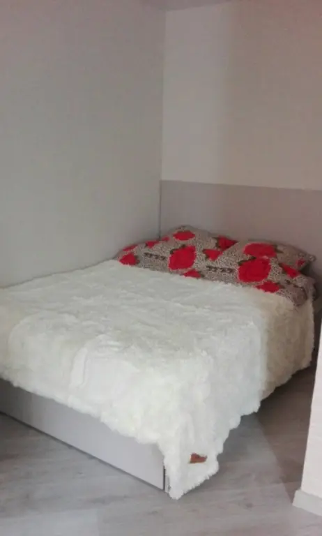 Studio apartment for daily rent in Borisov, Revolyucii av. 29