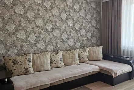 Studio apartment for daily rent in Borisov, Brilevskaya St. 24